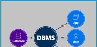 What is Database Management System – DBMS