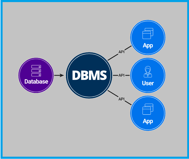 What is Database Management System – DBMS