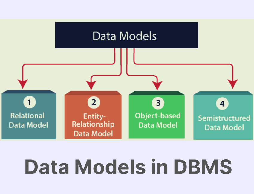 Data Model in DBMS