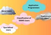 Classification of DBMS Users