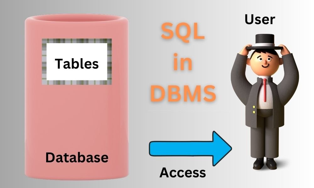 What is SQL in DBMS