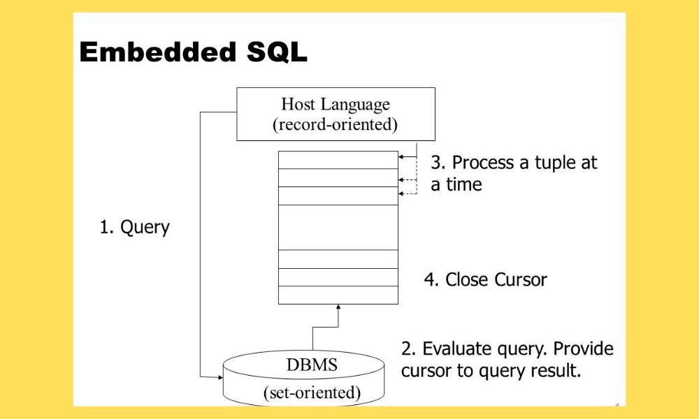 Embedded SQL in DBMS 